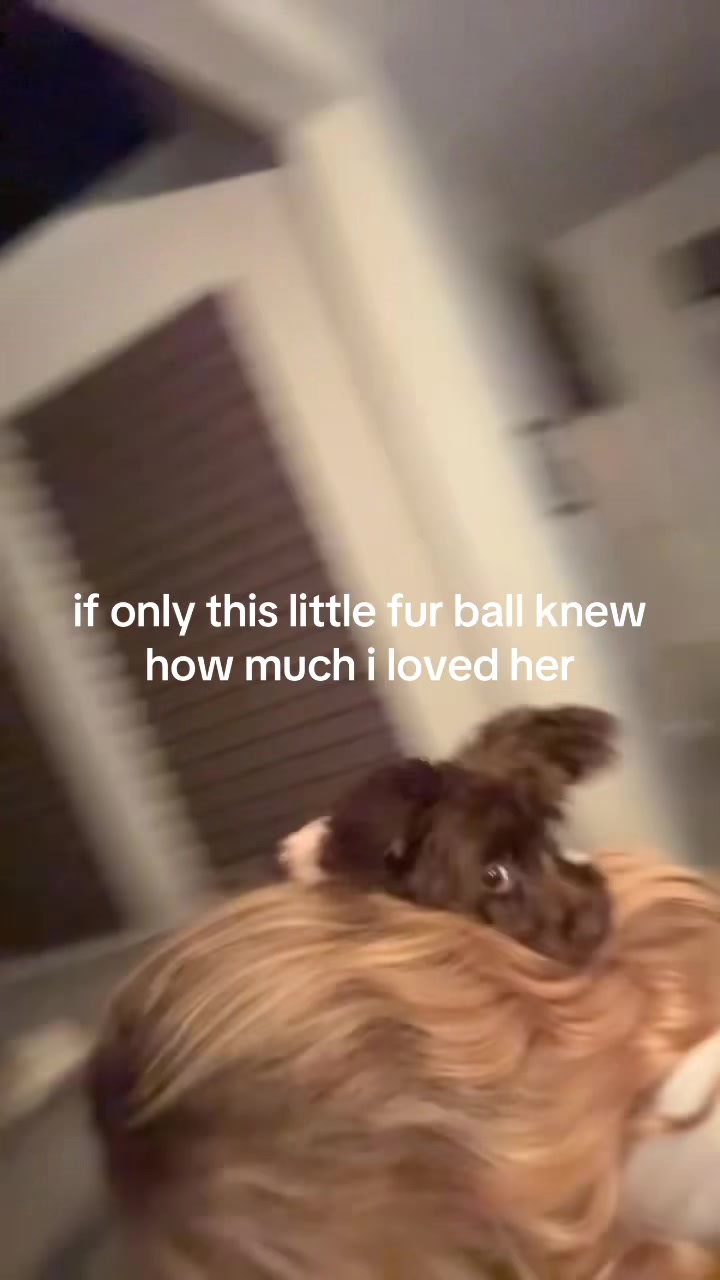 @🤫