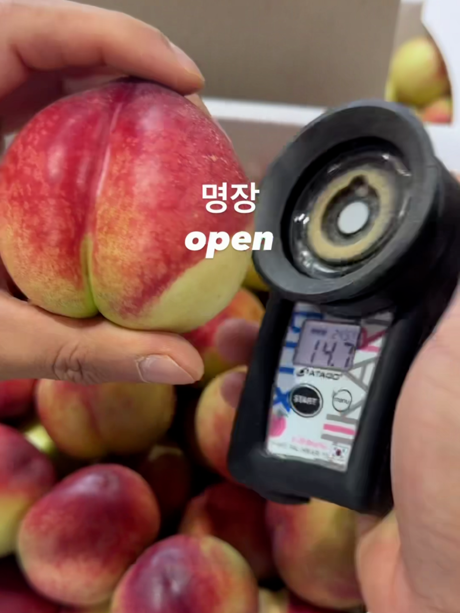 @해운대송사장