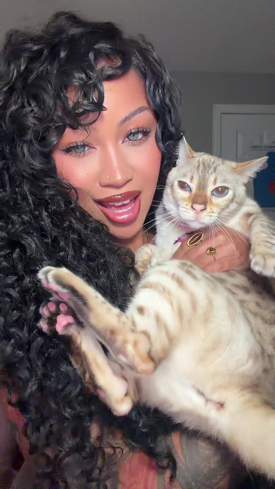 @Mirajane The Bengal🐾