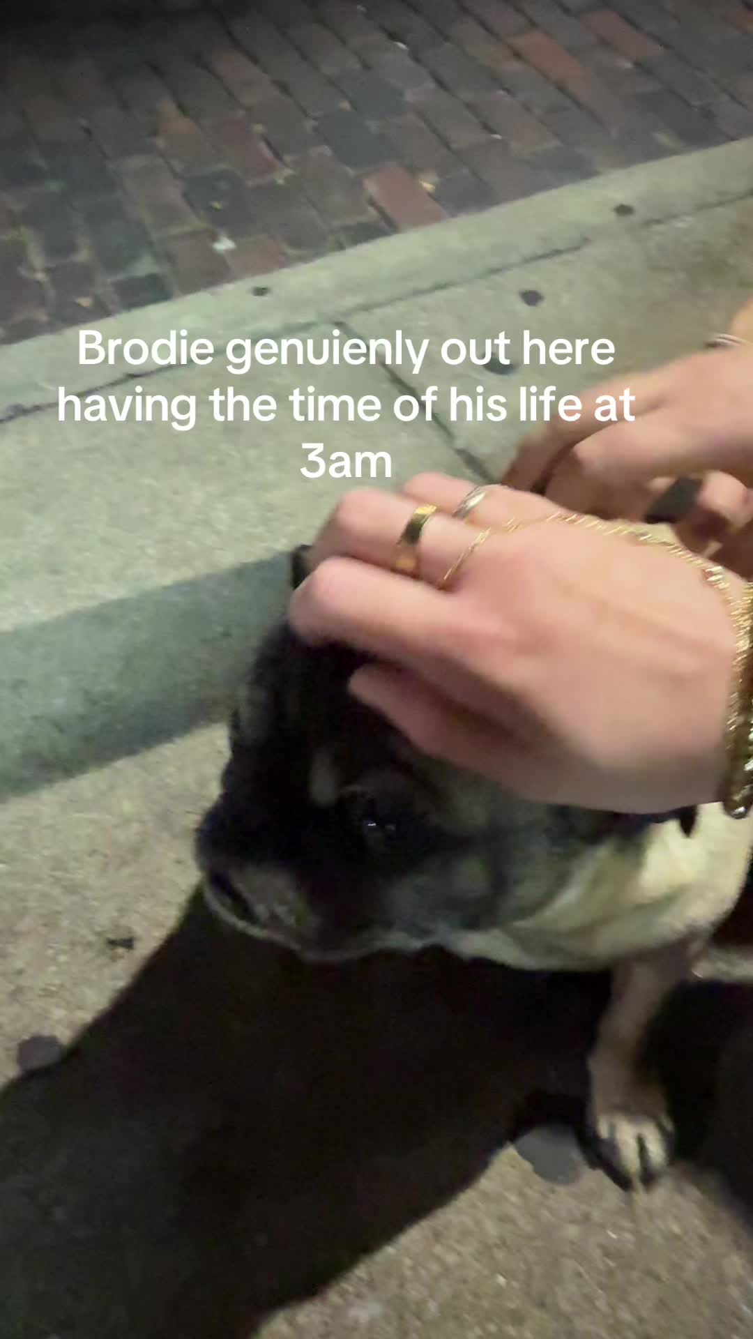 @Mo