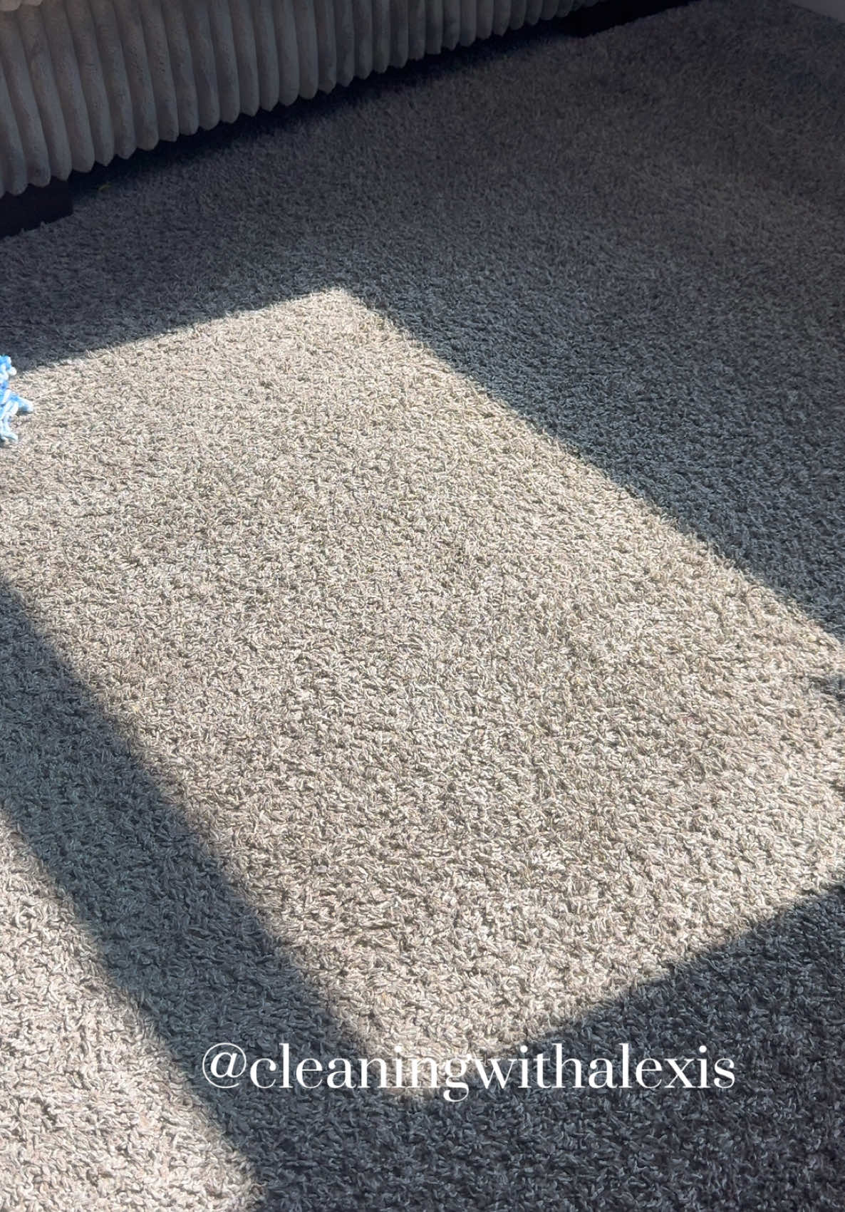 @AlexisCleanASMR