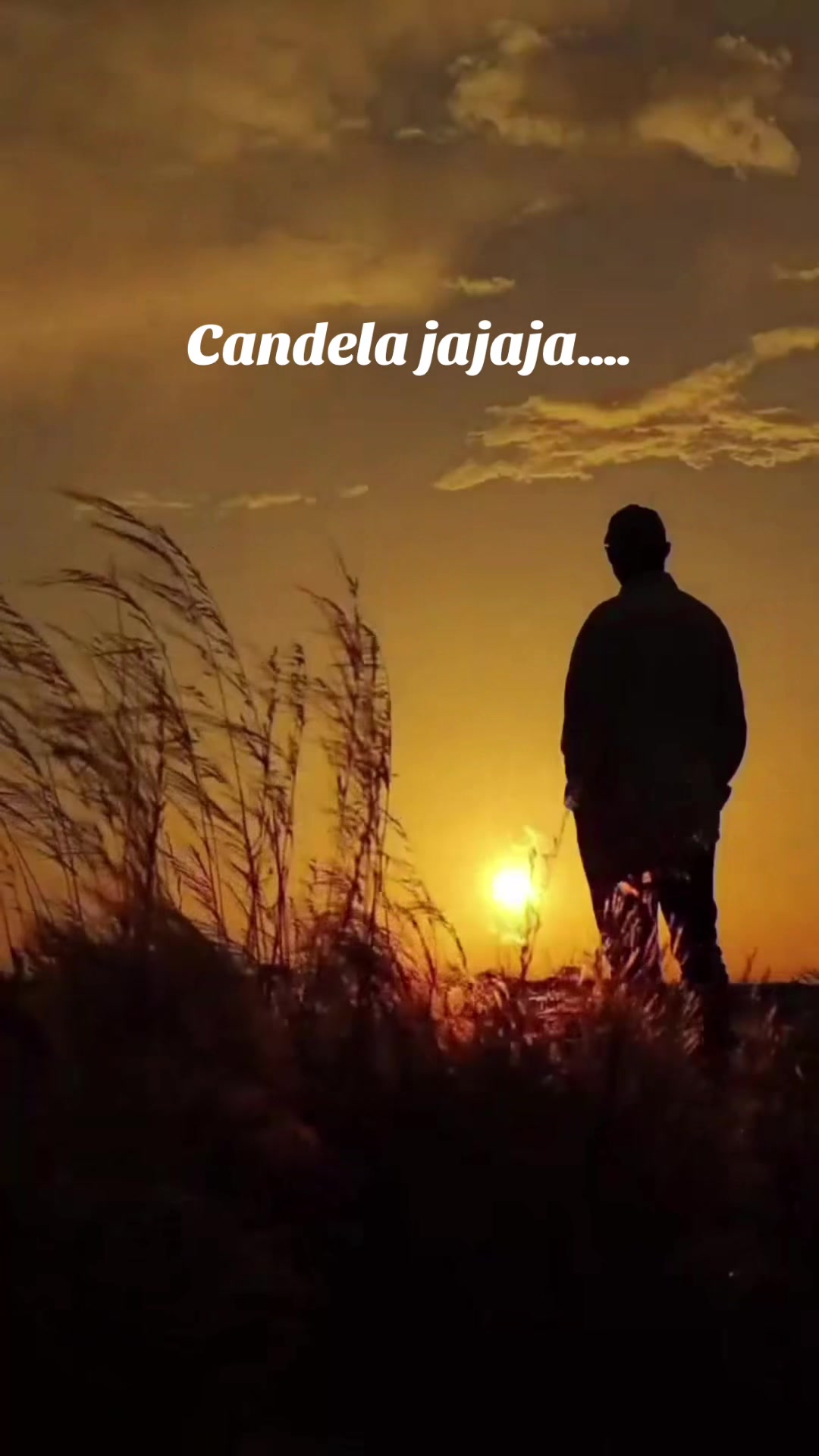 @Raul1961