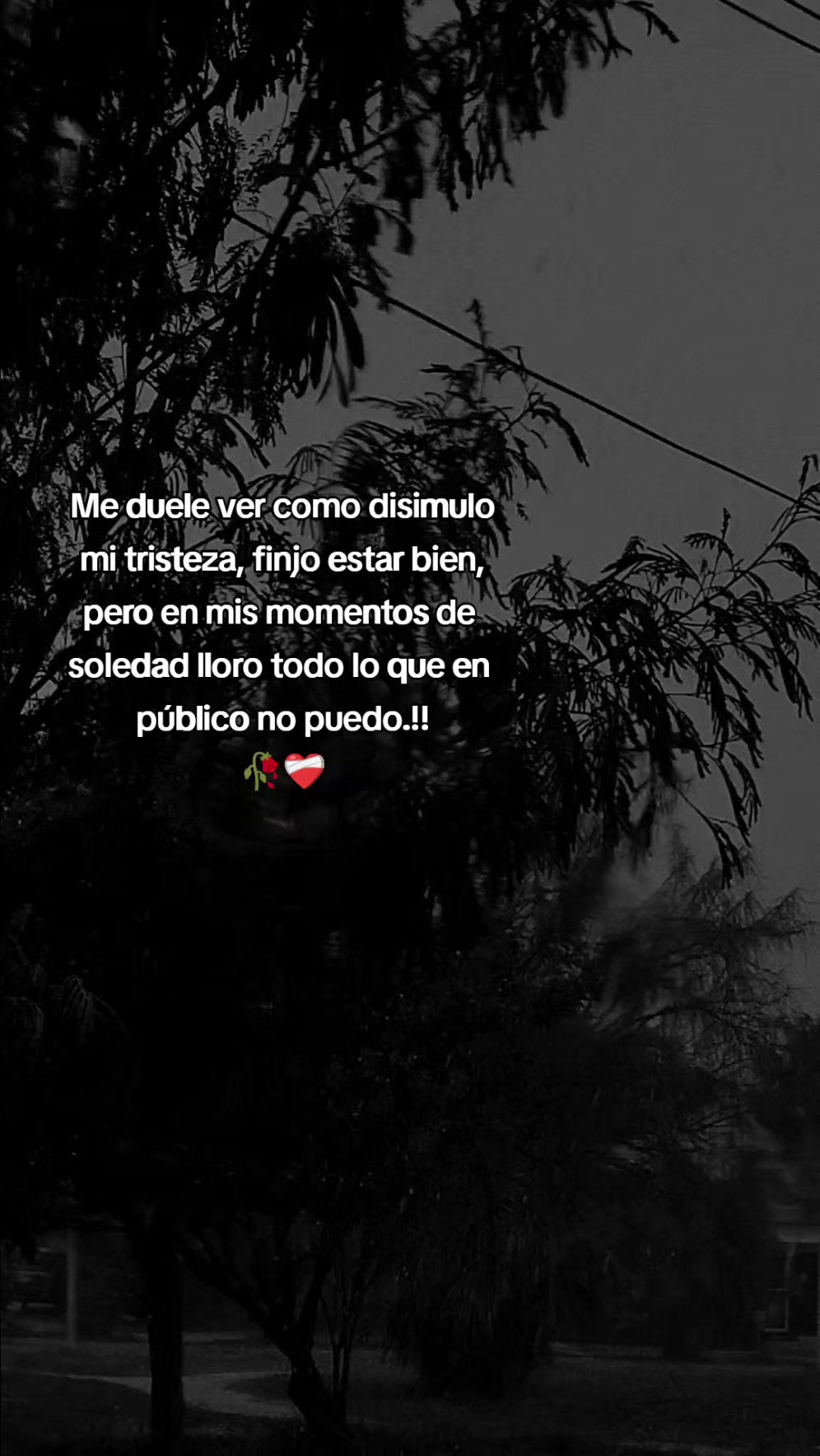 @vecky