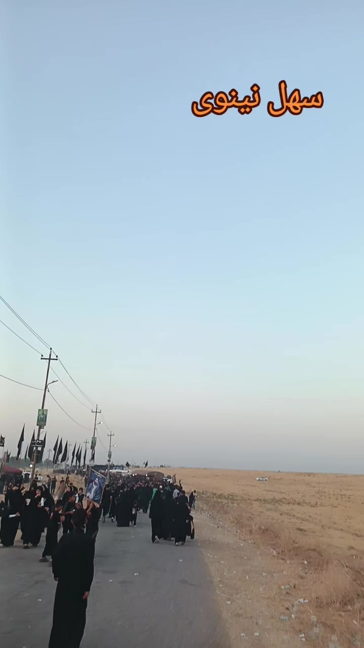 @ستوريات زيودي شبكي 🌎