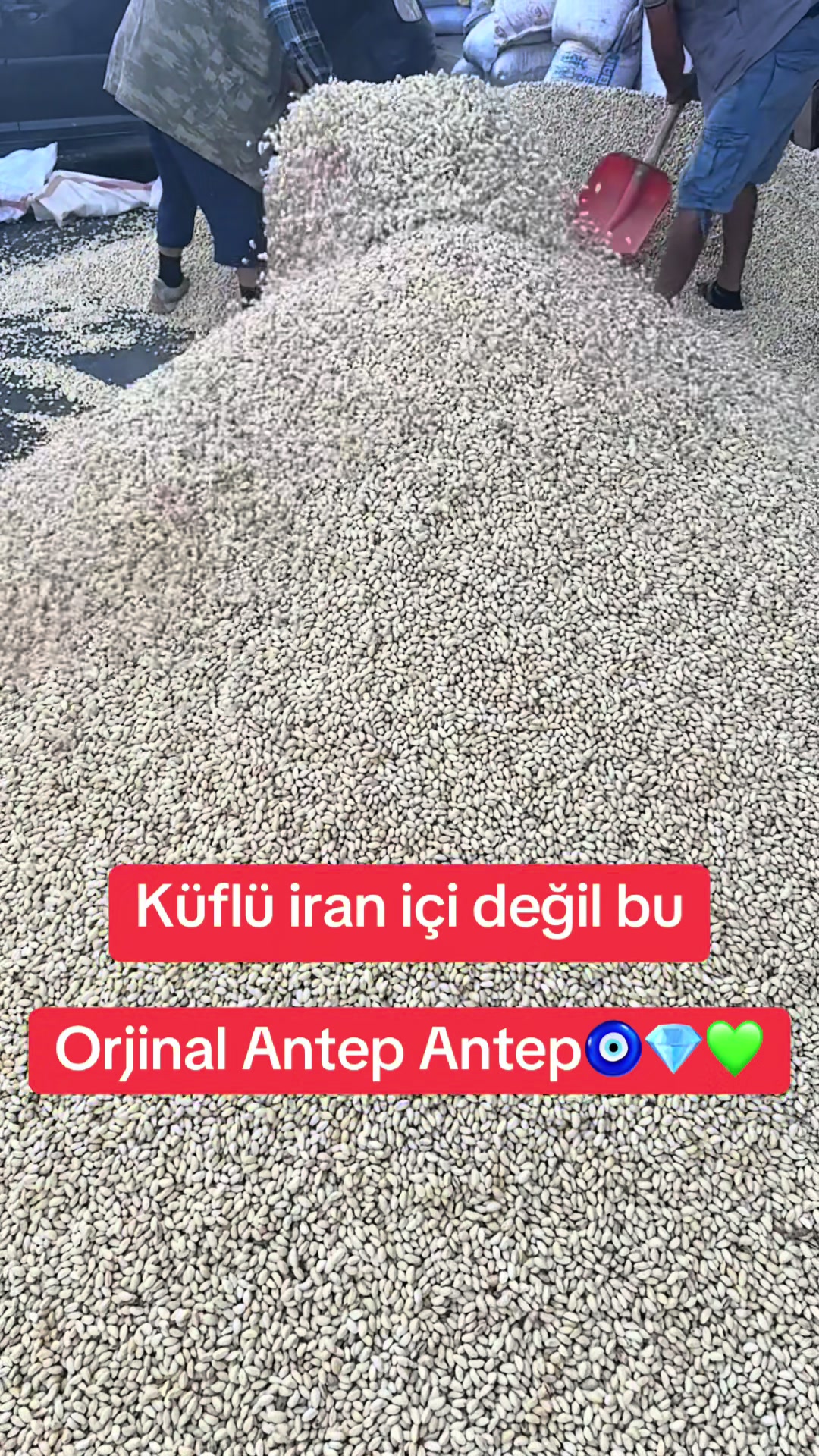 @Kocaoğlu Fıstıkçılık