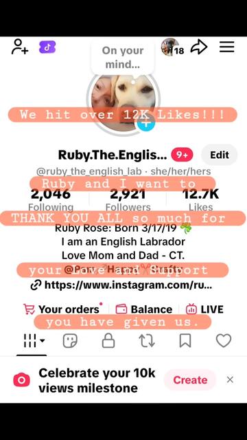 @Ruby.The.English.Labrador