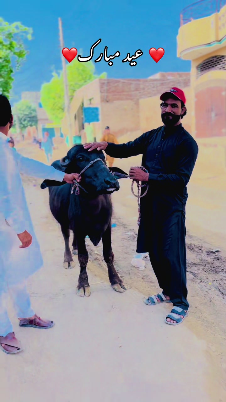 @M maqsoo1107r