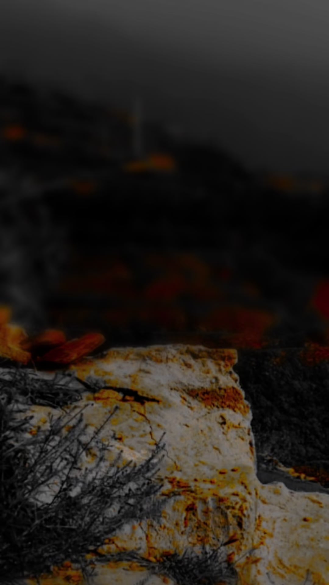 @𝑀𝑂𝐻𝐴𝑀𝑀𝐴𝐷