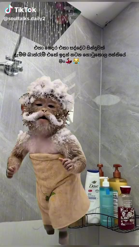 @cinthiya2026