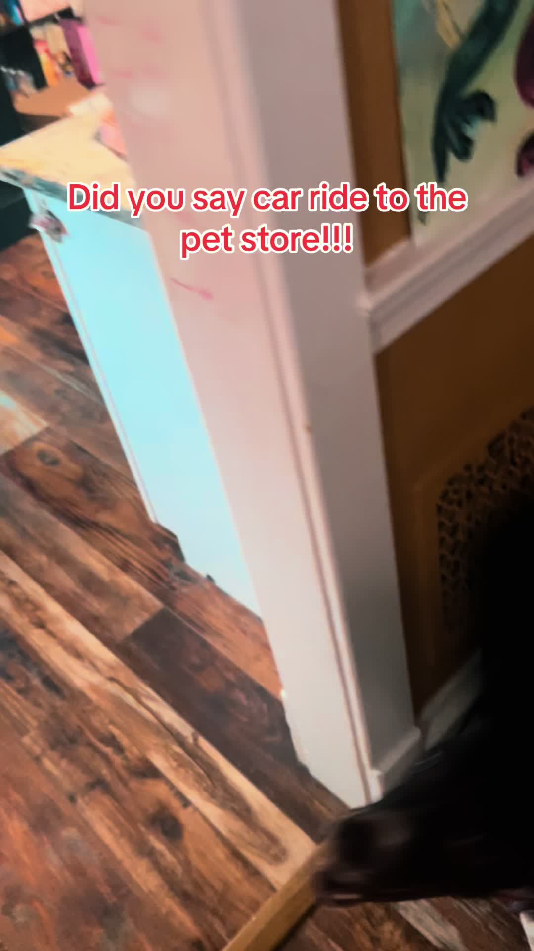 @pawzgonewild