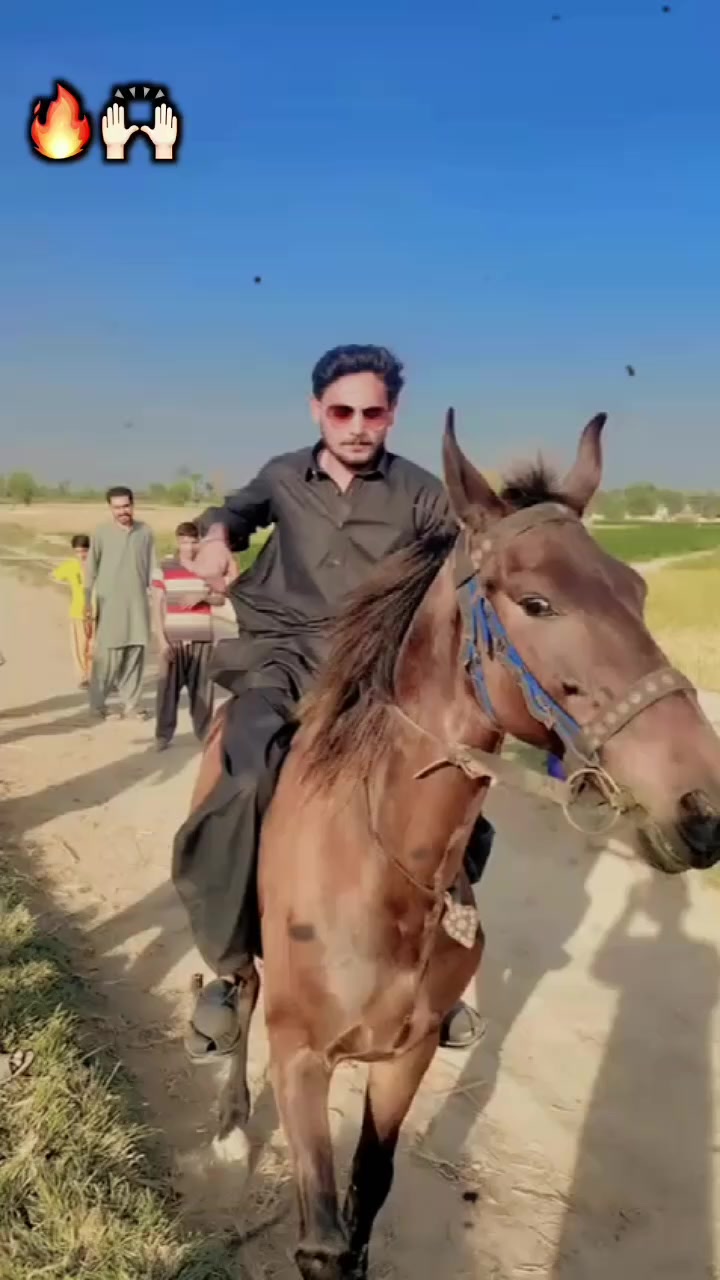 @SAFDAR BABA💪
