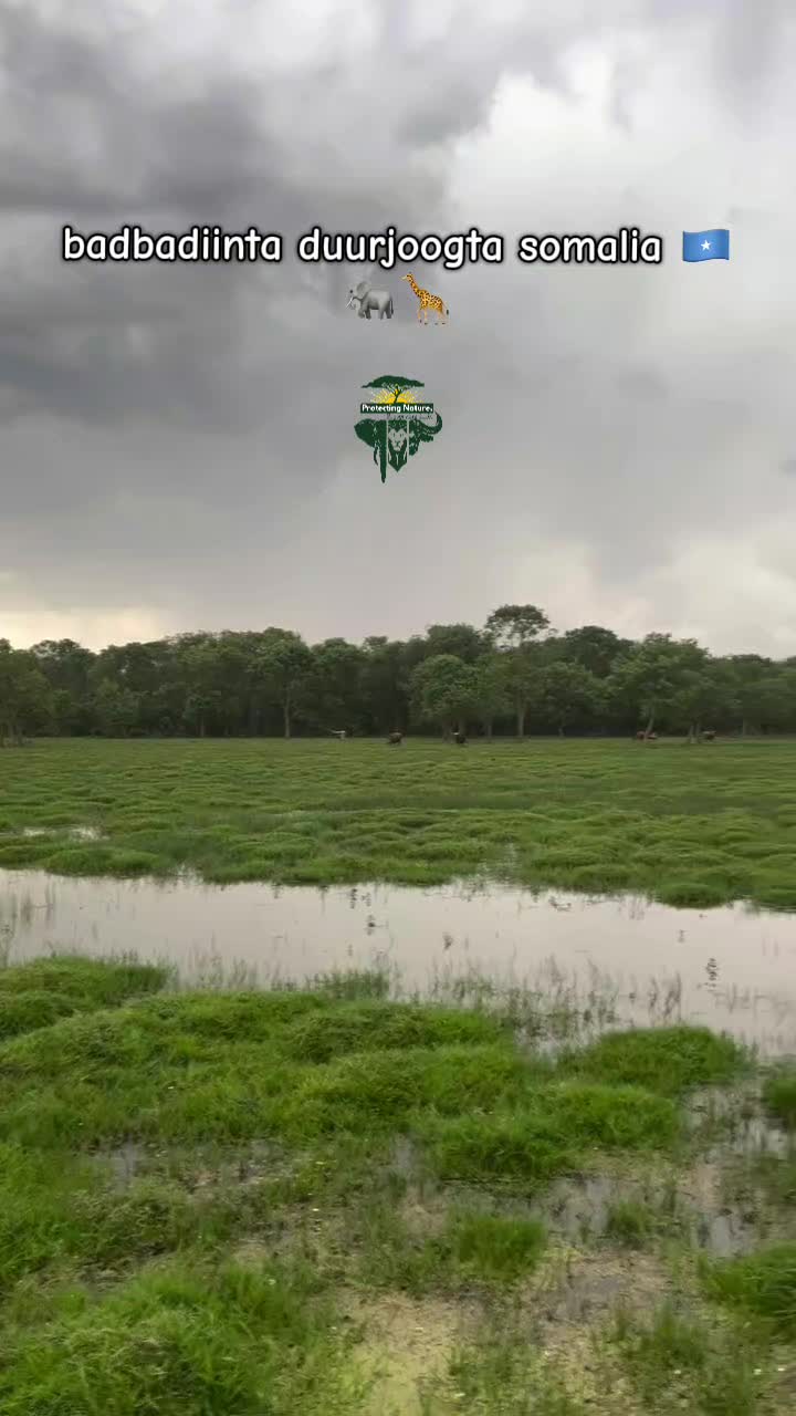 @Lag Badana C conservancy Trust