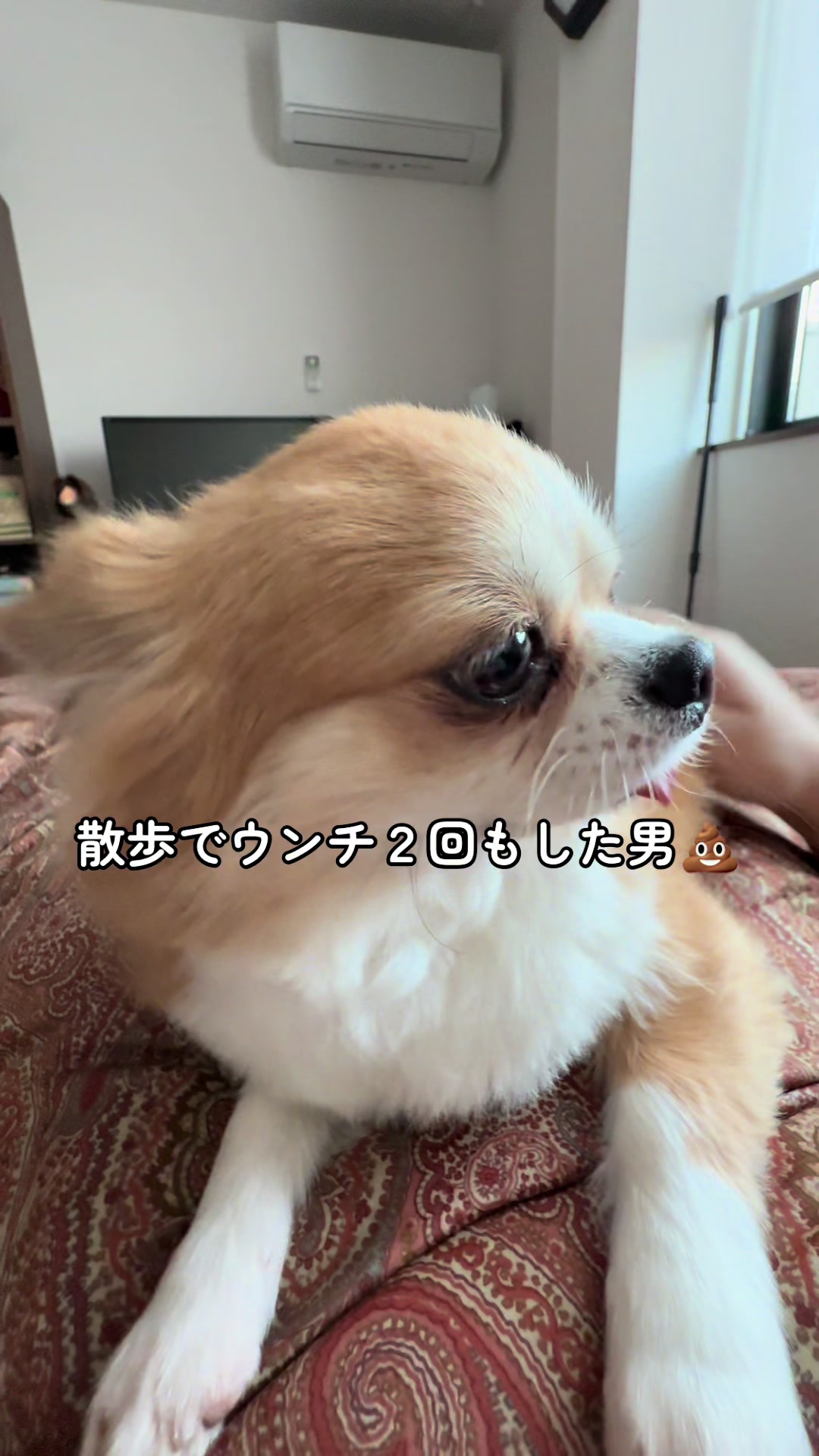 @心太