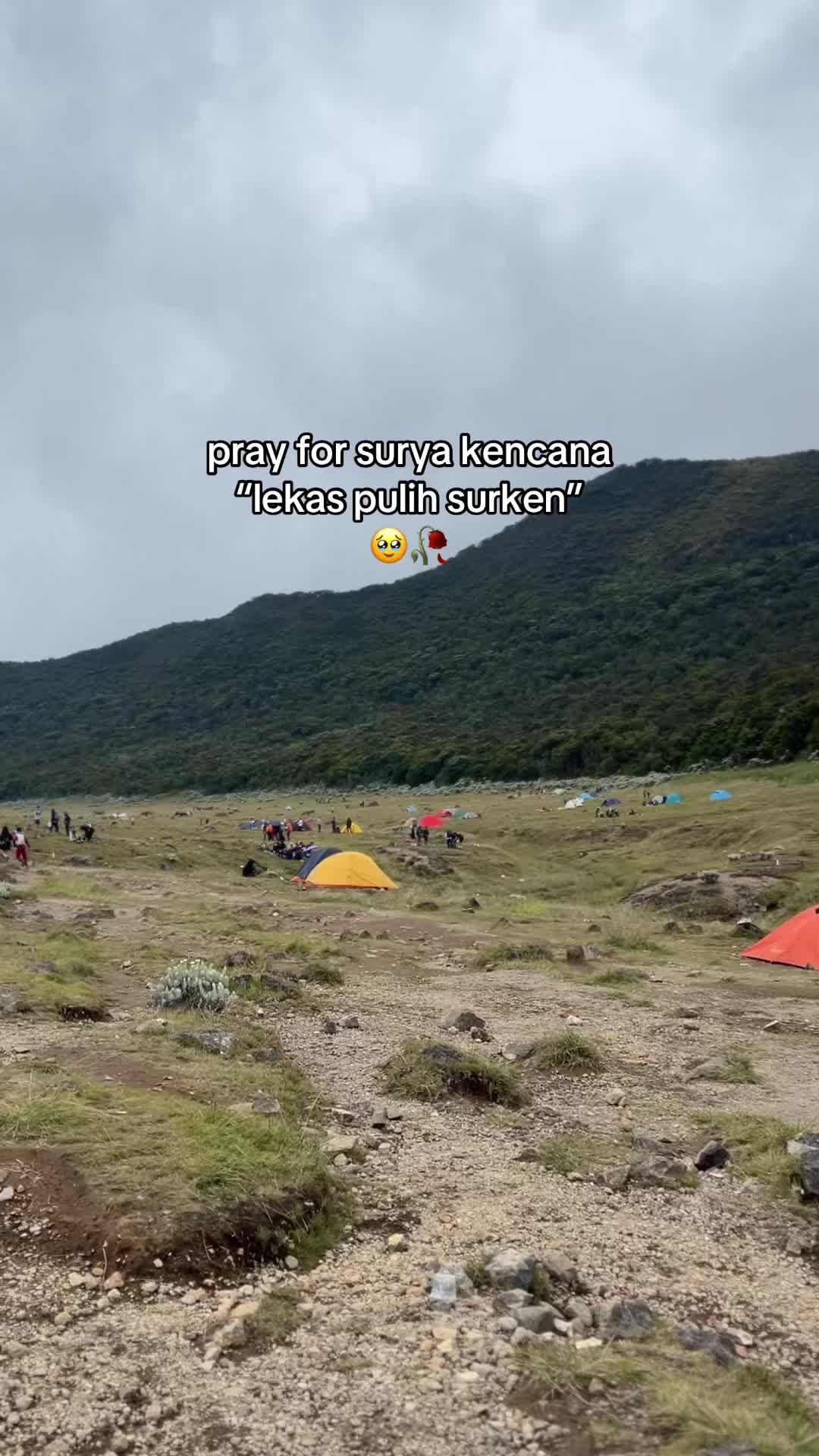 @spal spil random 🦋