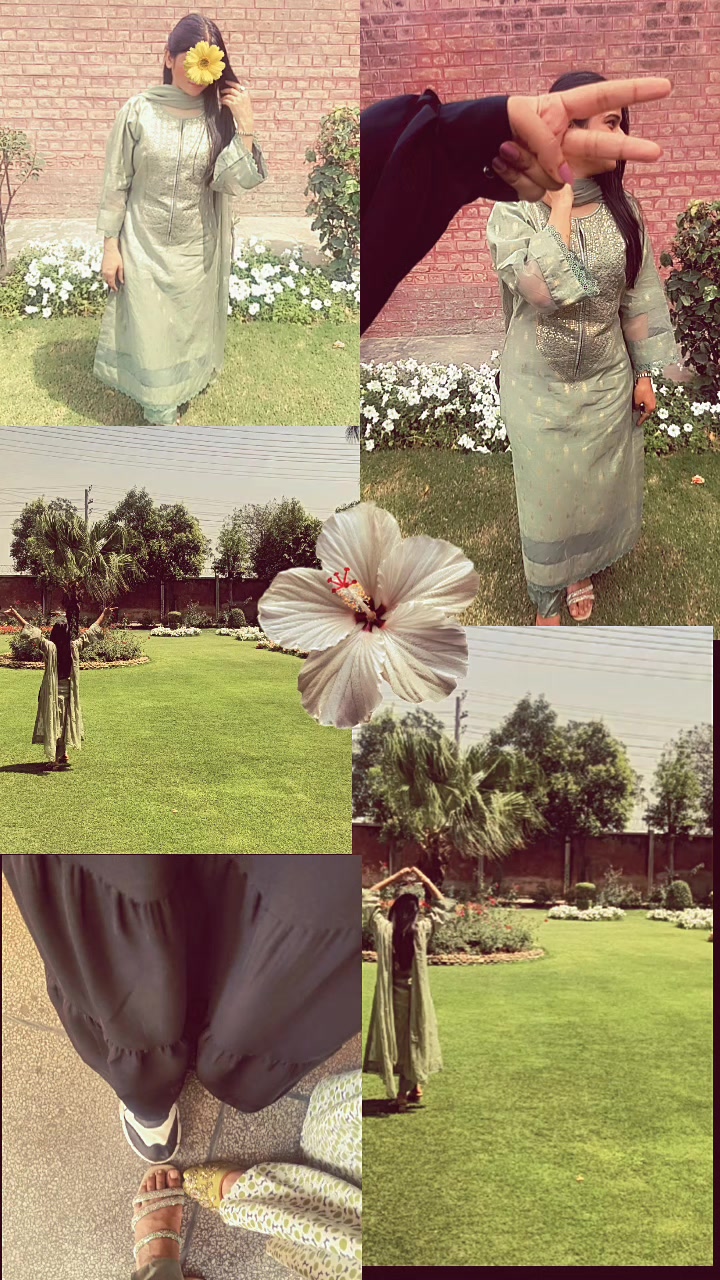 @Aleena Ramzan