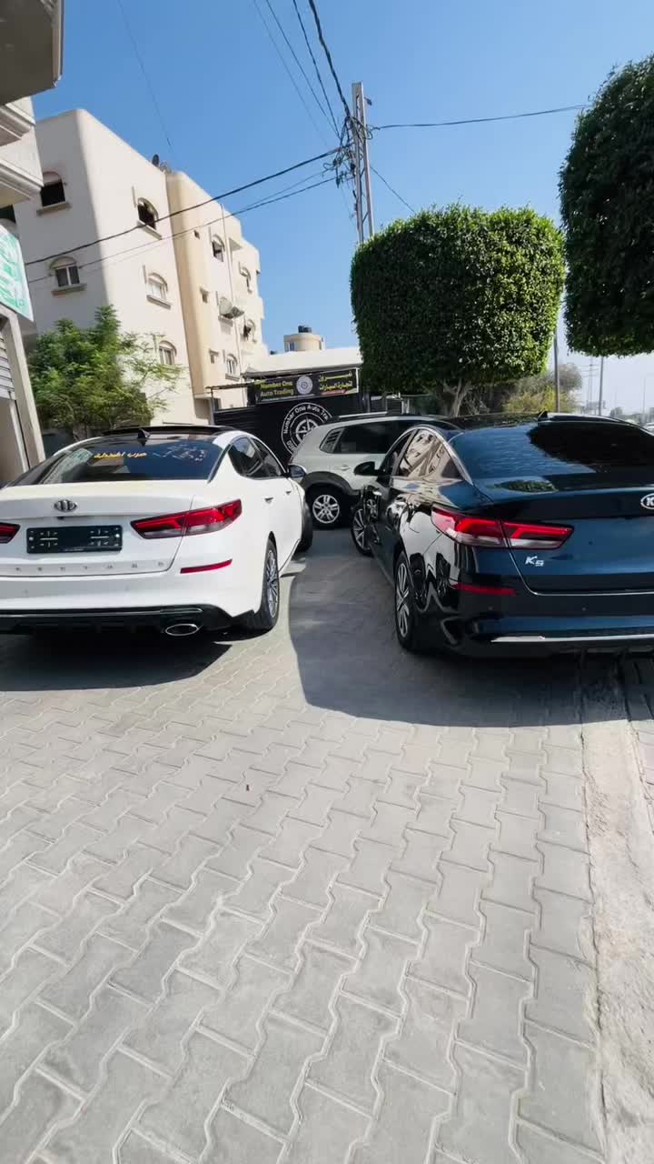 @شريف ابو مسعود