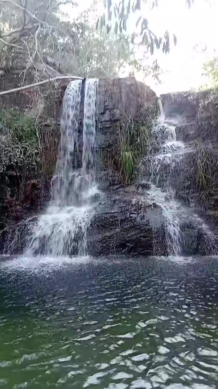 @Majúu leão