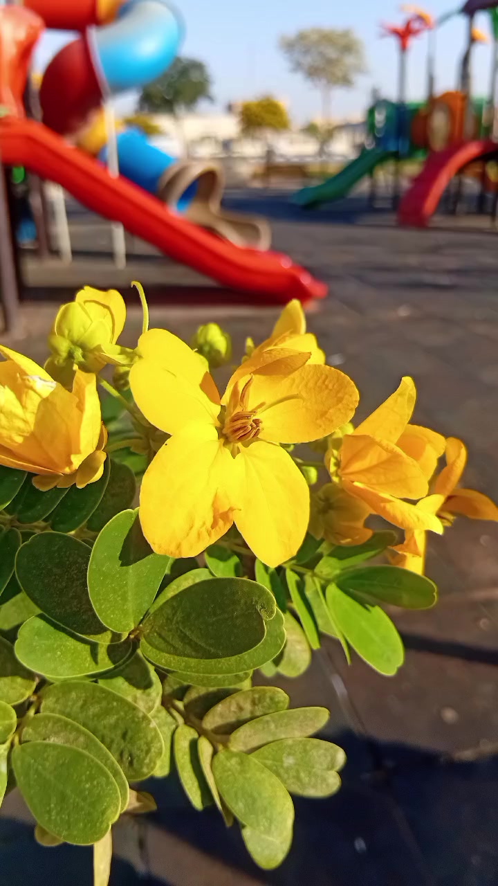 @رسم على الوجه◇التوفي