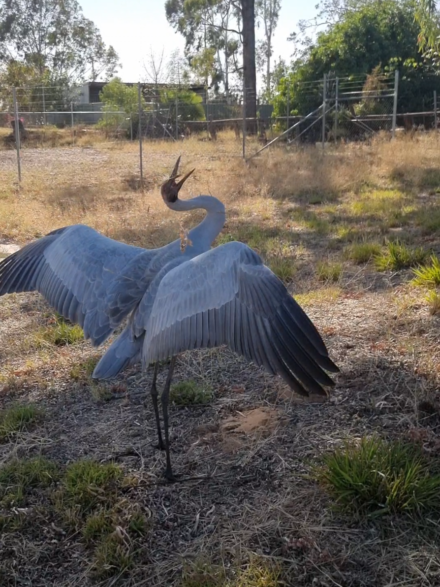 @SM Wildlife