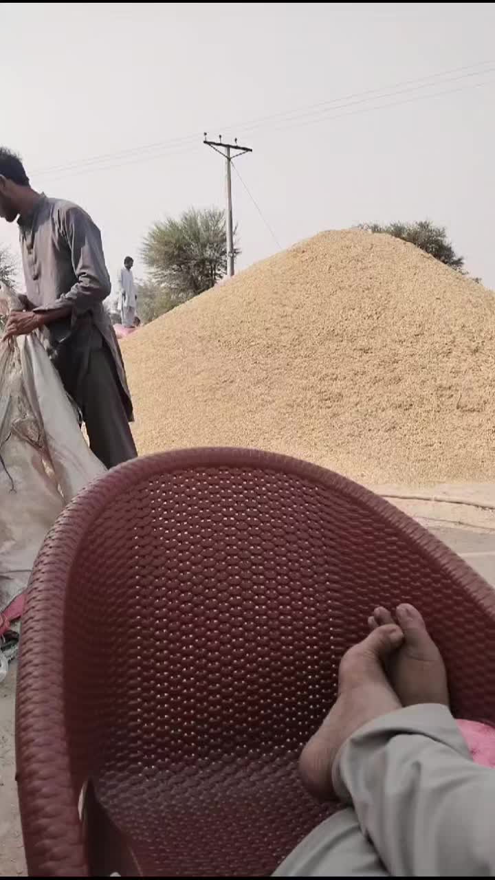 @Ch Shahzad Ashraf🇵🇰🇦🇪