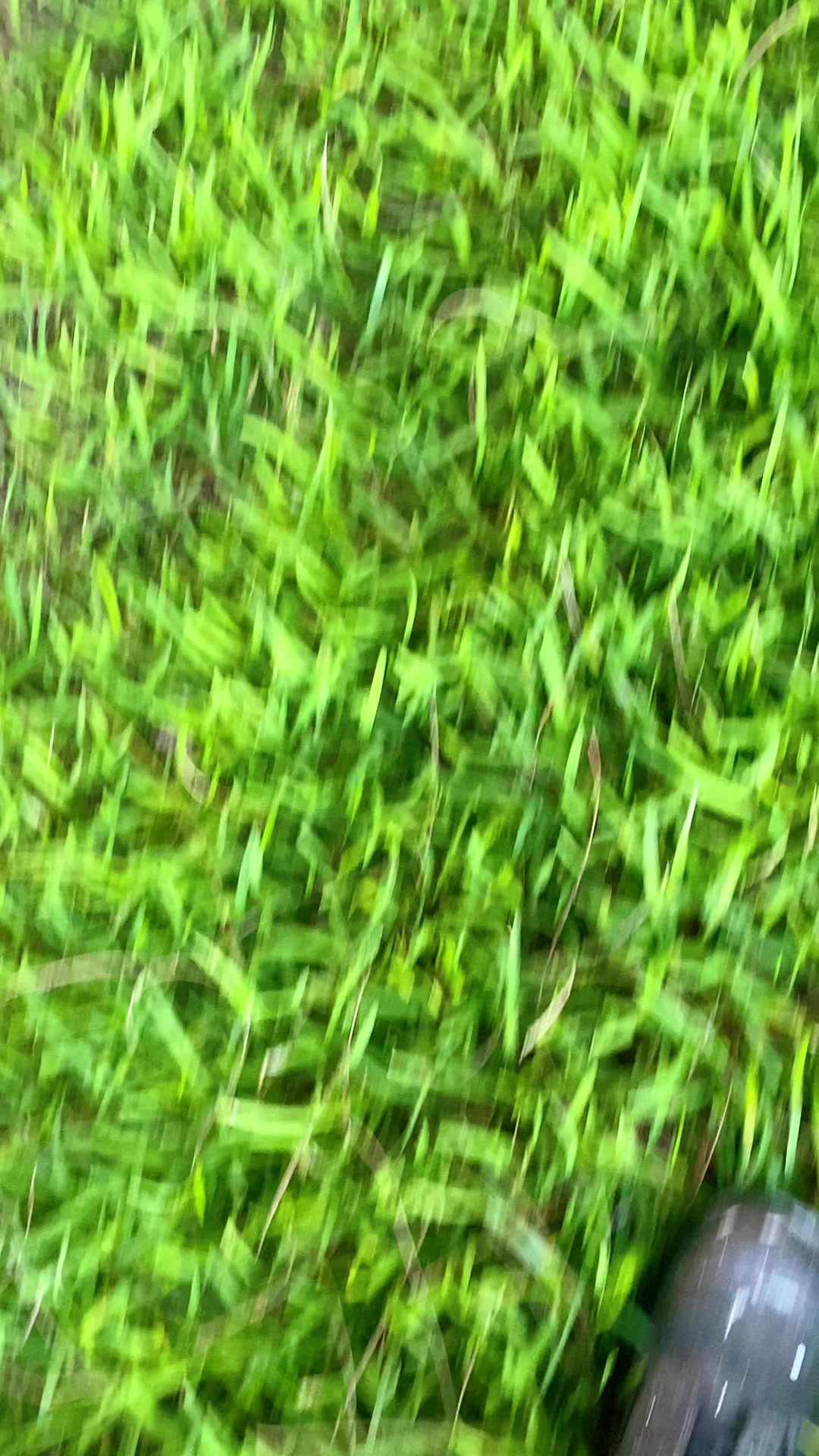 @Yianni_z