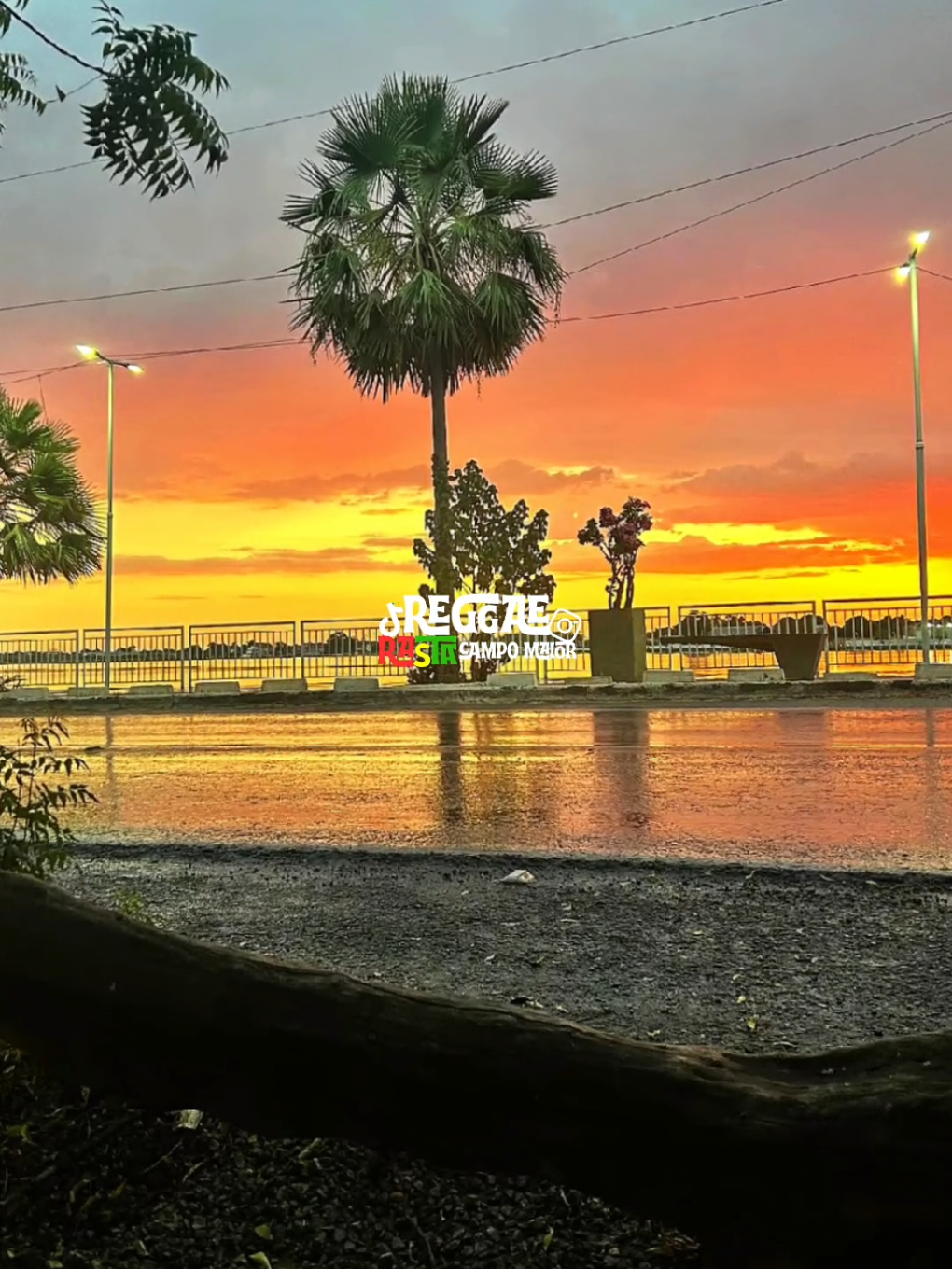 @REGGAE RASTA CM