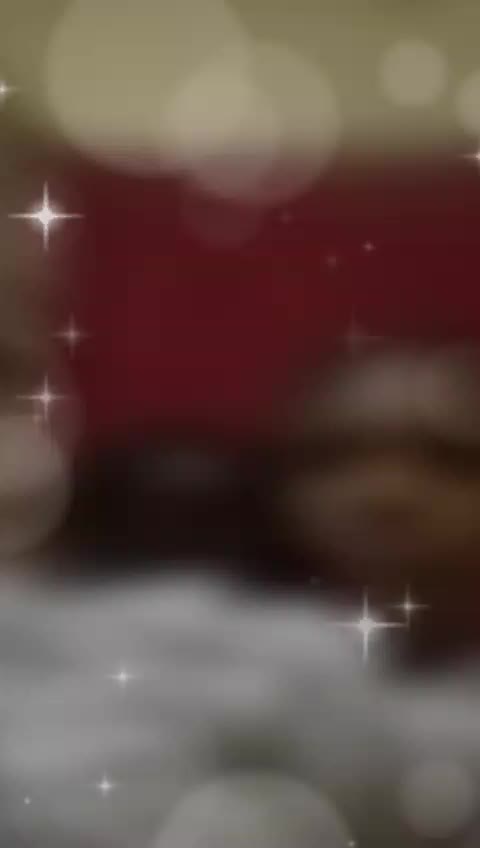 @user4873858129013 mwari