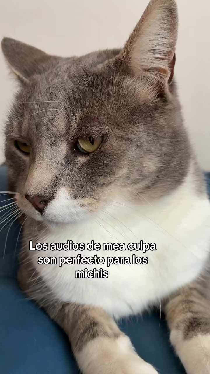 @Javier Andres