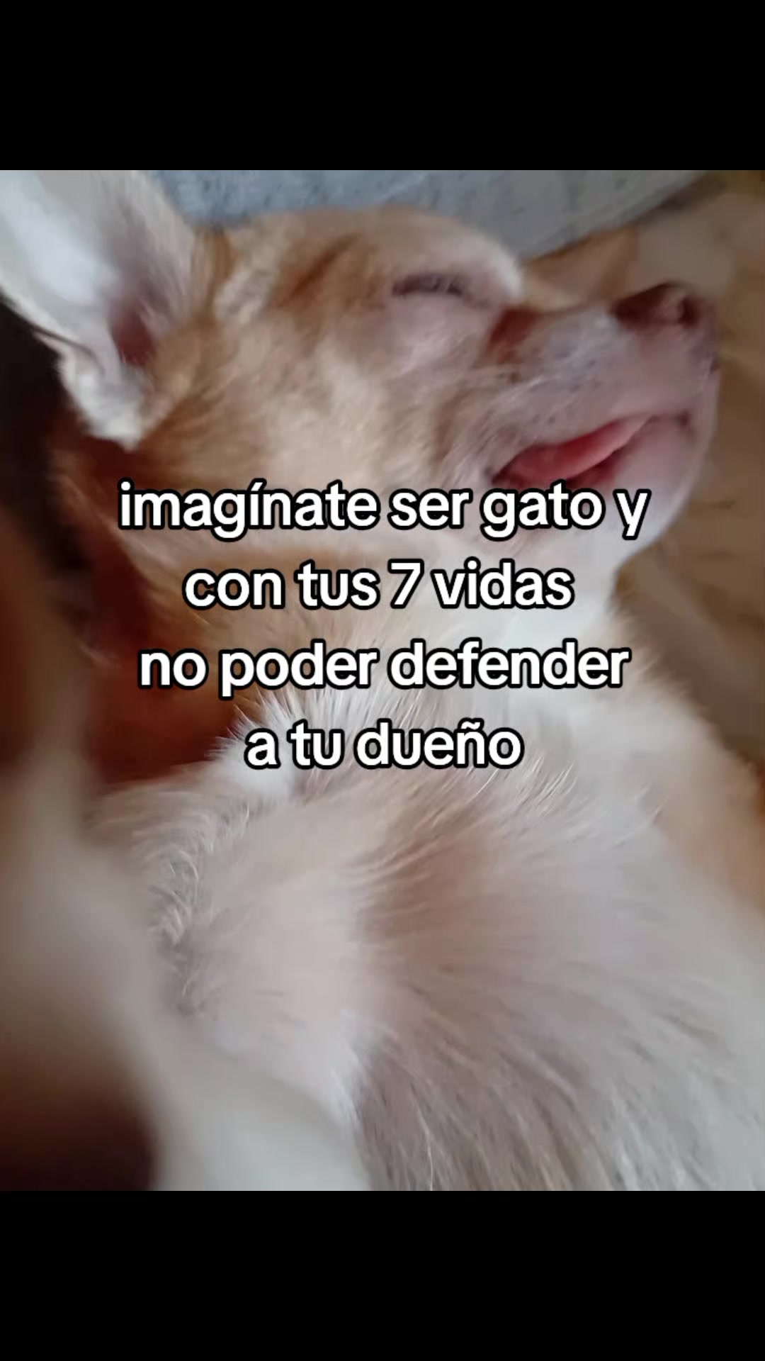 @SoyRamiroG