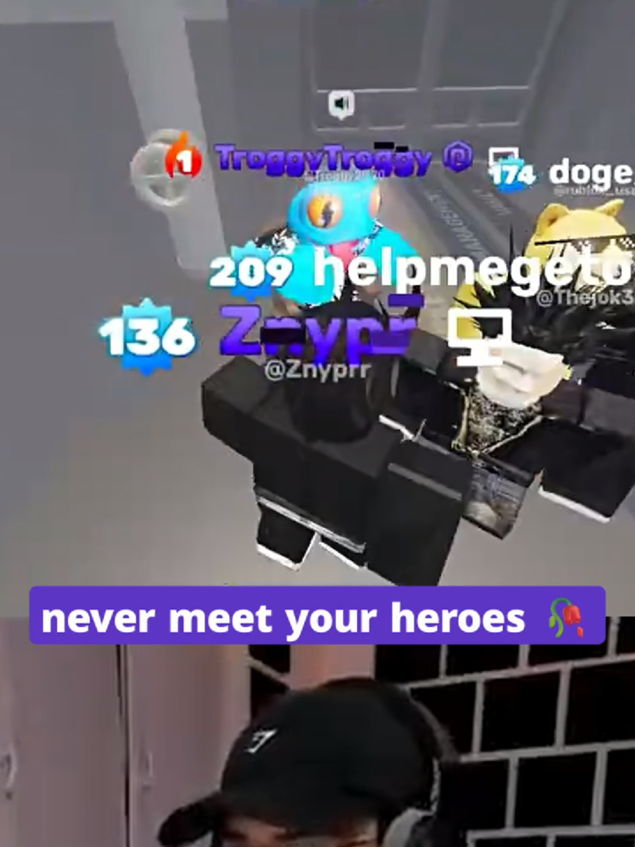 @znypr