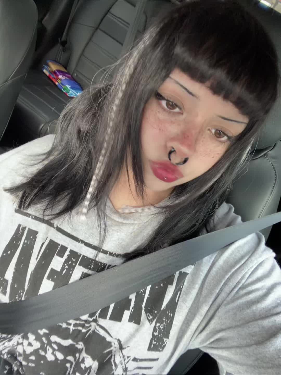 @maya