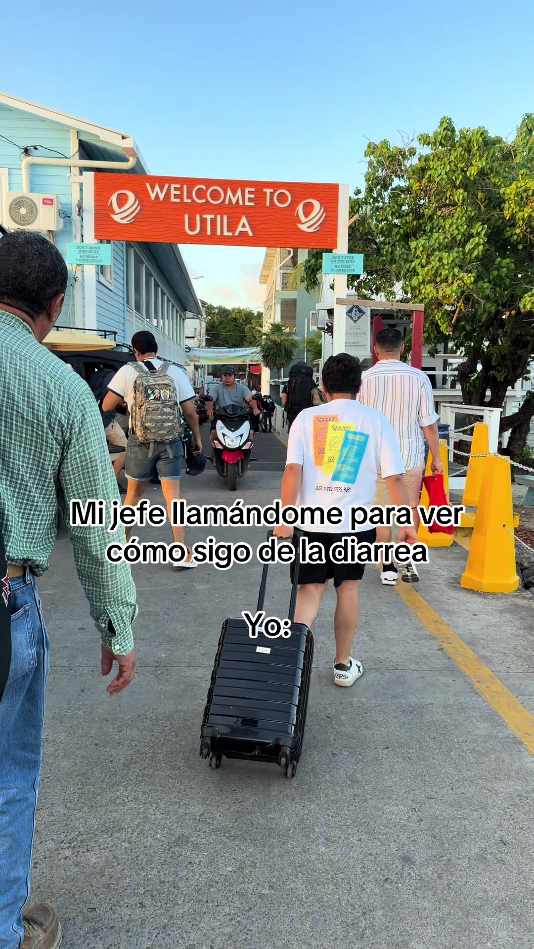 @soylardi