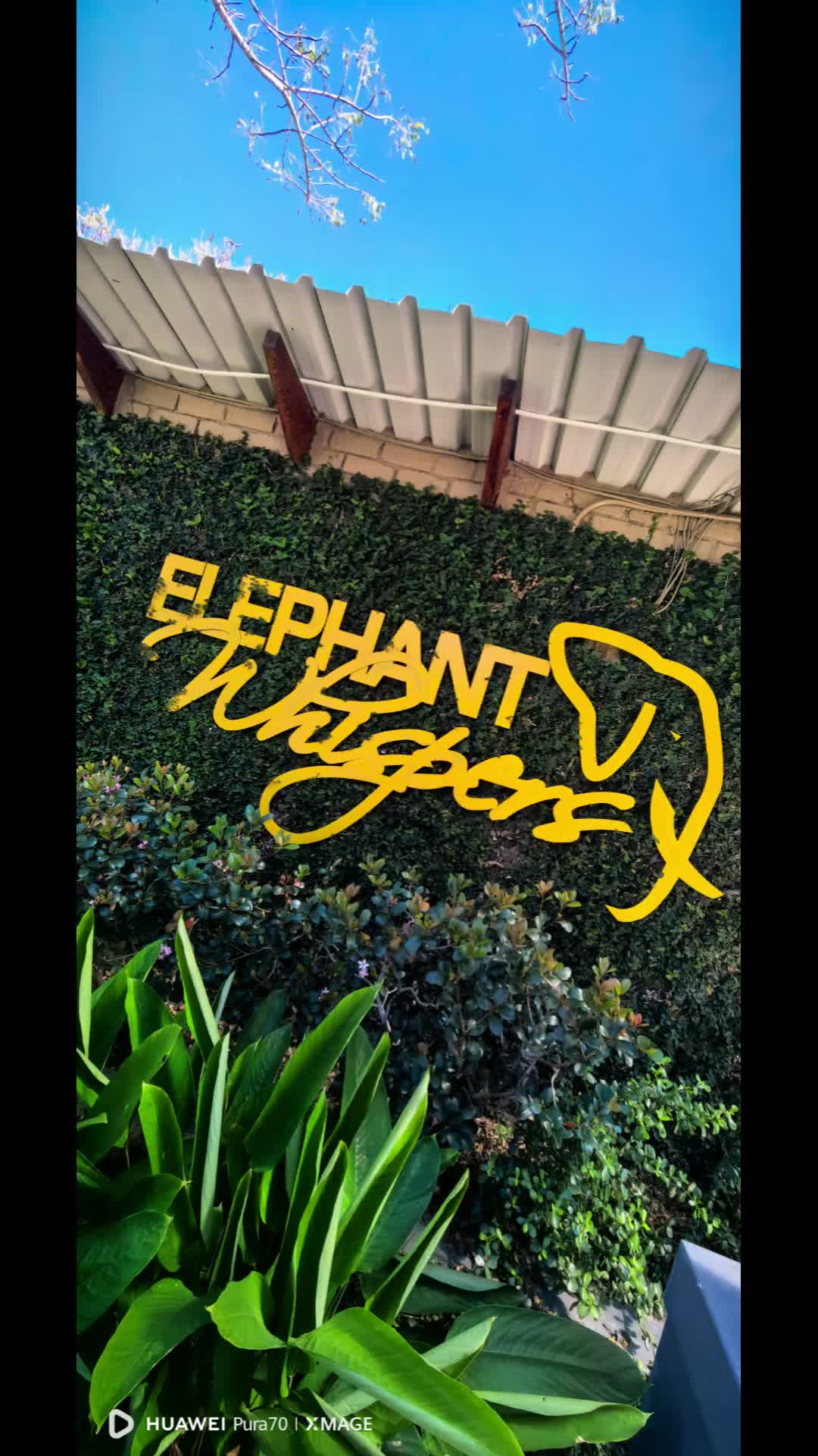 @Shanette_Mann