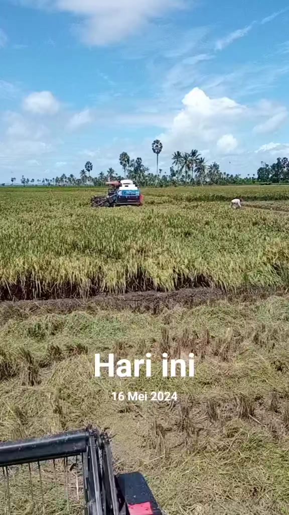 @iwan99