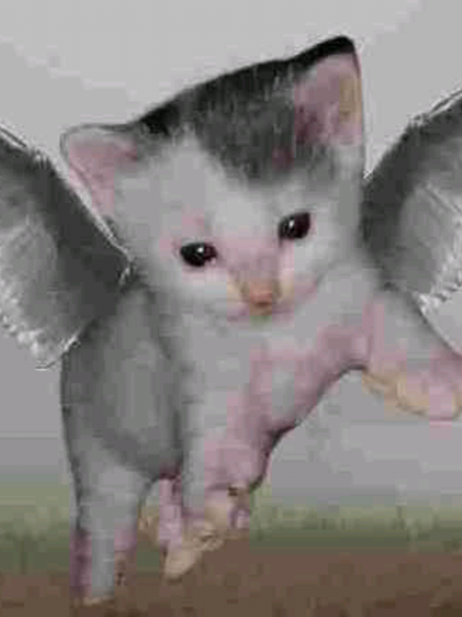 @Heaven.com