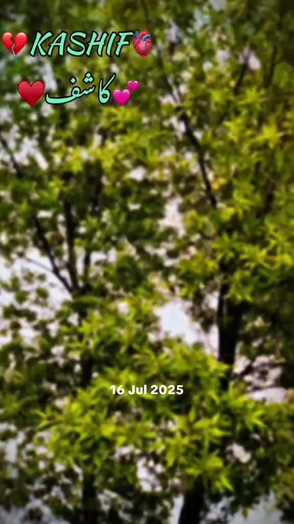@🥷☠️Kashif🔥 باغی☠️333😈🥷