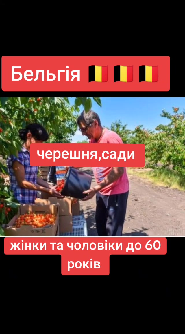 @Бельгія та Нідерланди