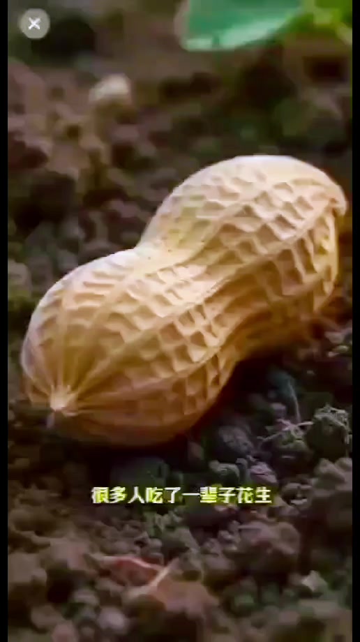 @威廷