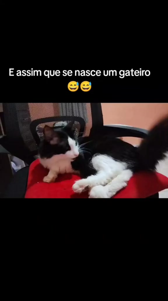@Daiararn