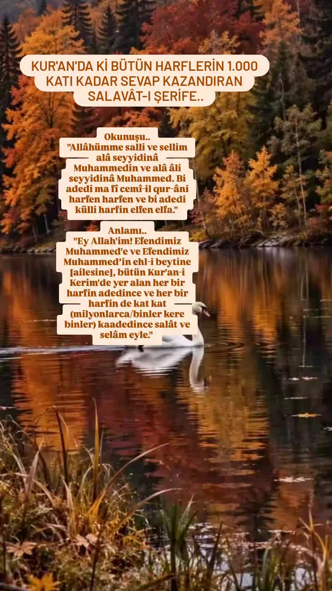 @hayat nereye gidiyor