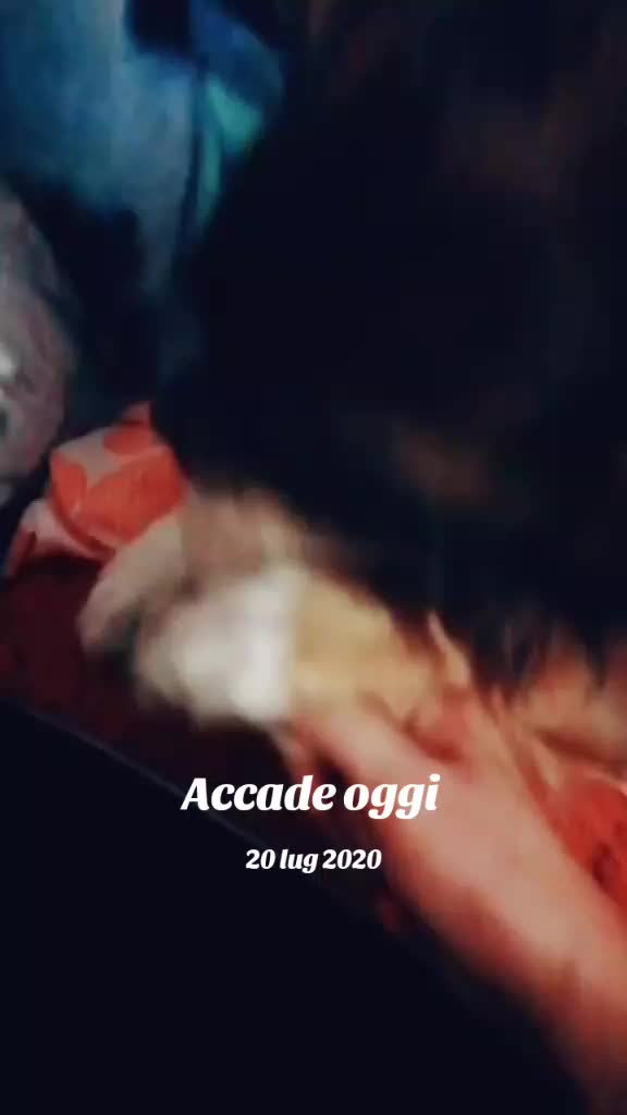 @Alessia Tognoli