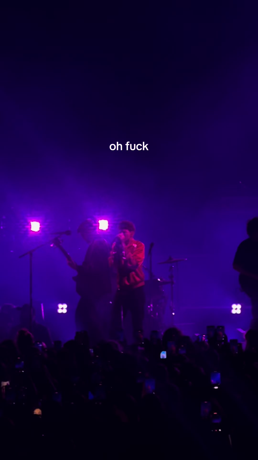 @spider monkey