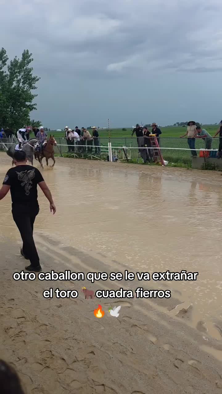 @carriles altos de jalisco🐎