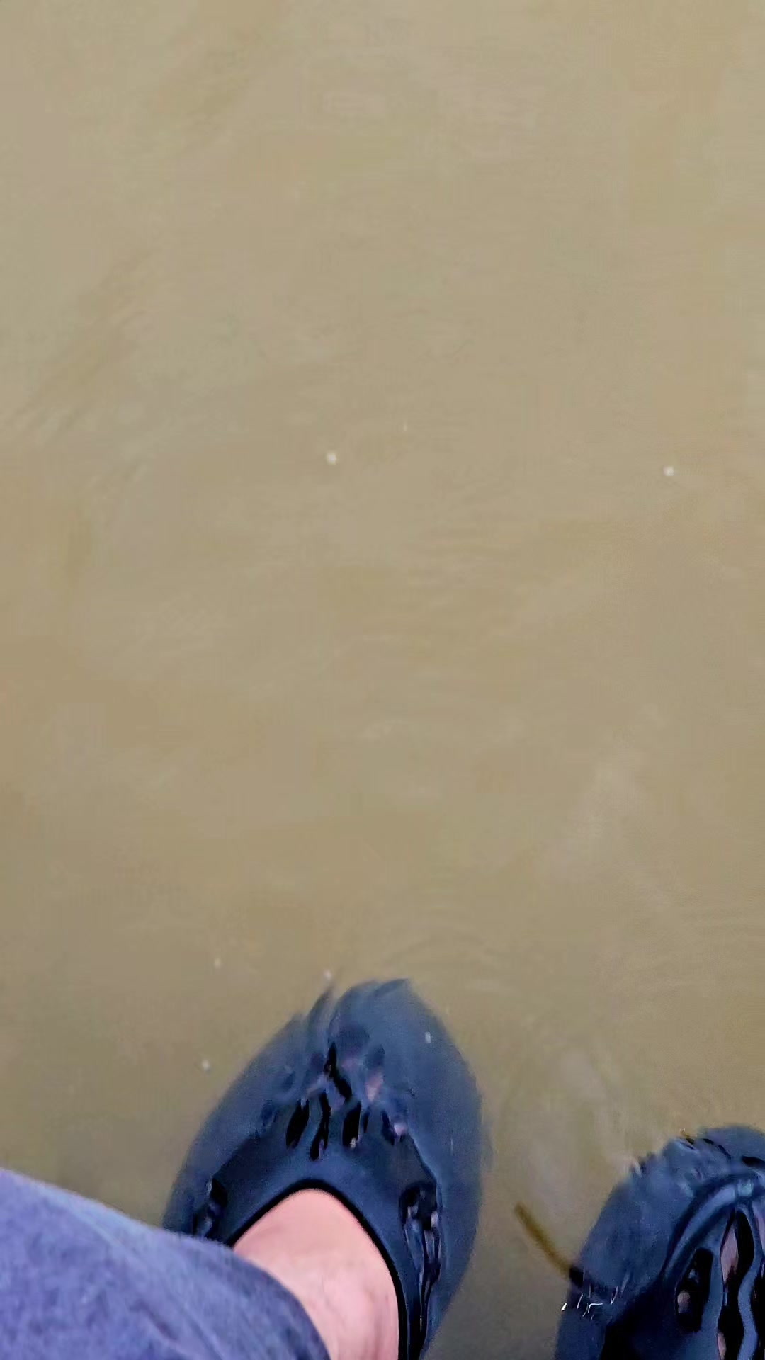 @Zia Shahid