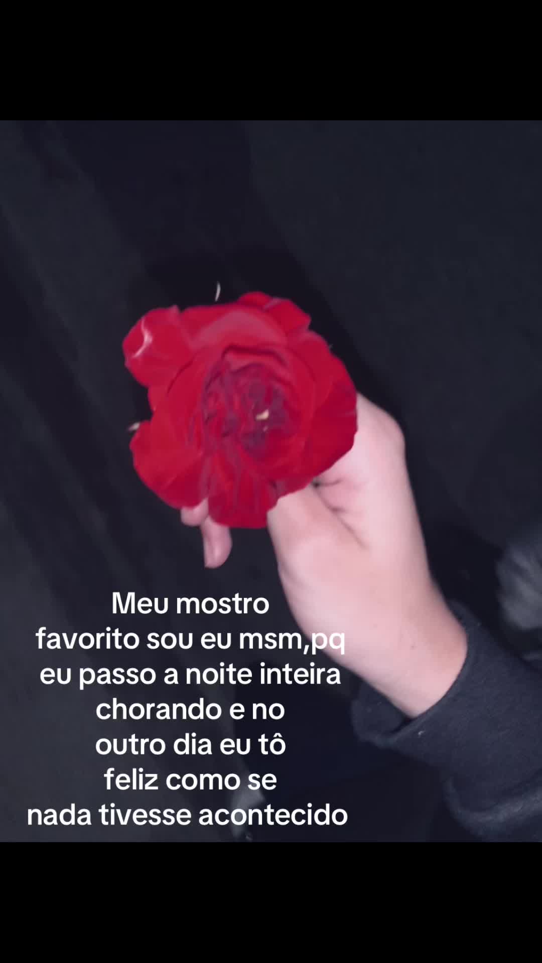 @Aninha