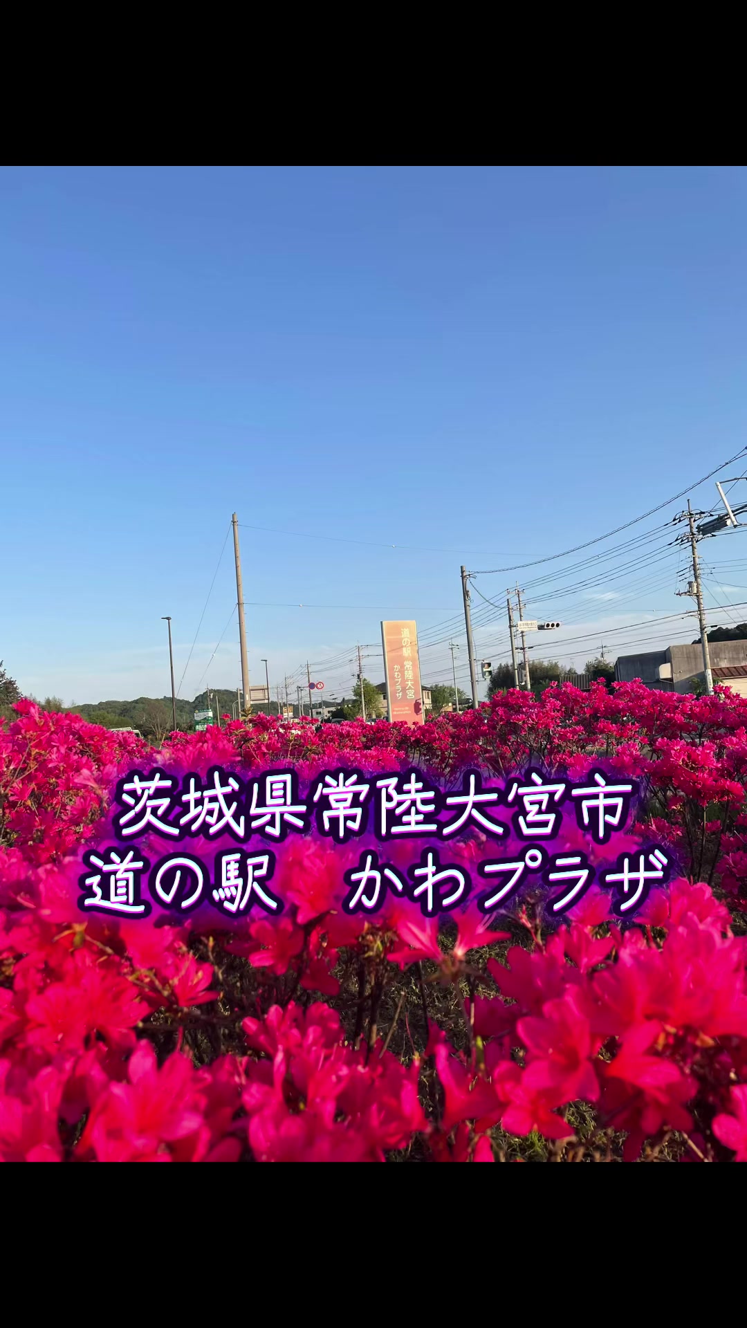 @ちゅっぱチャップス