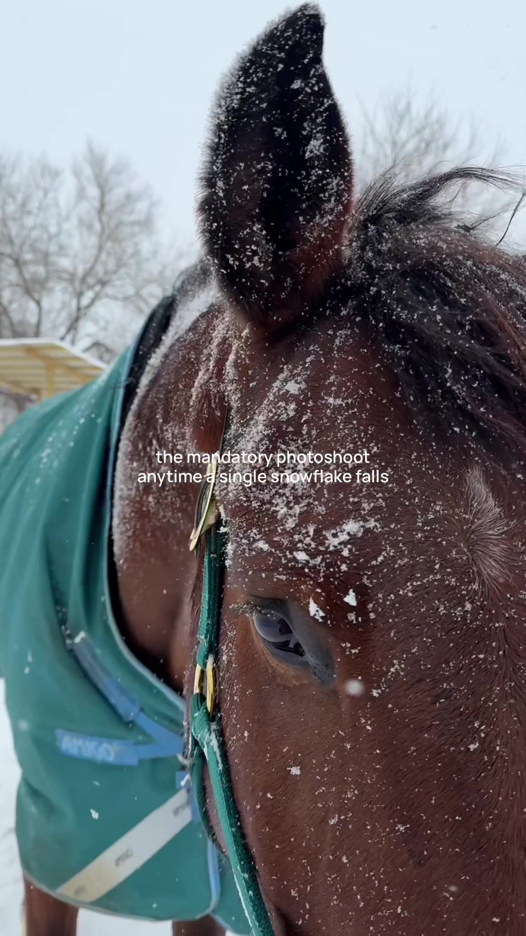@Bethanie | Style & Horses๐ฅ
