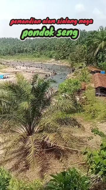 @rajali_aciel