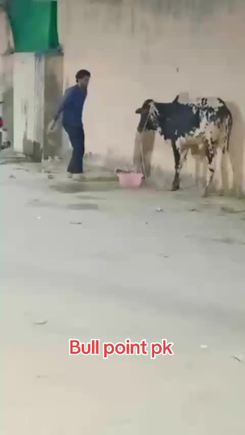 @Bullpointpk_official