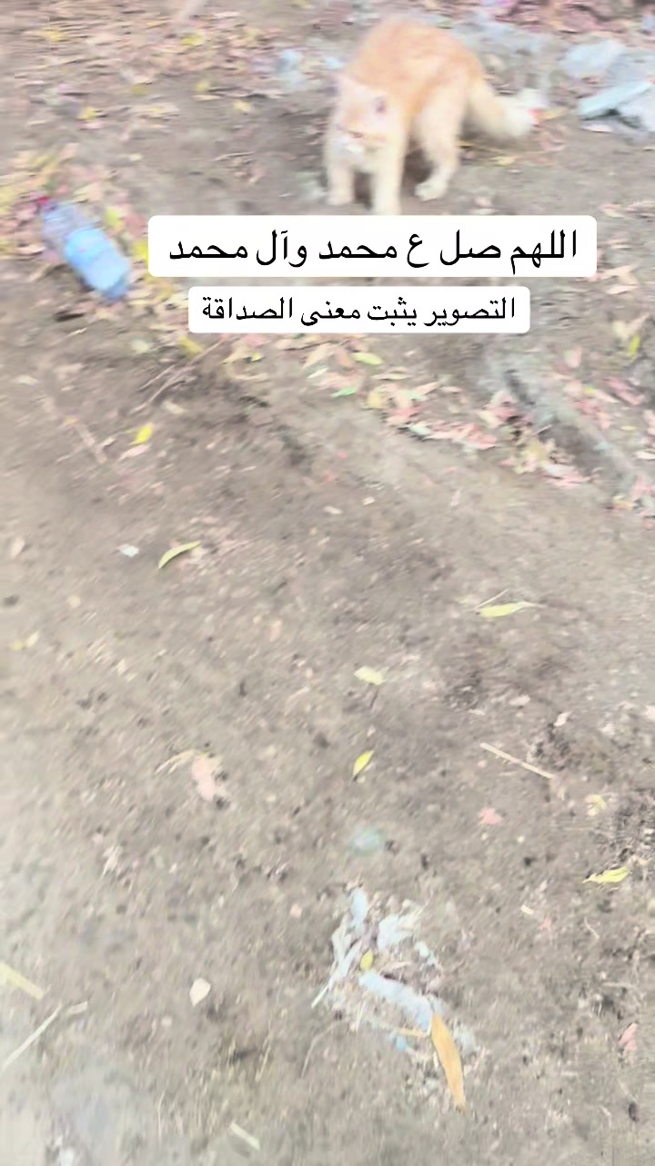 @ashkaltbiah